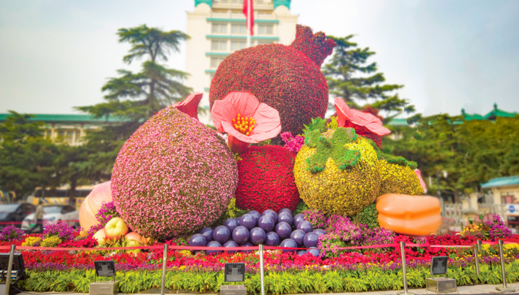 立體花壇,五色草造型,綠雕