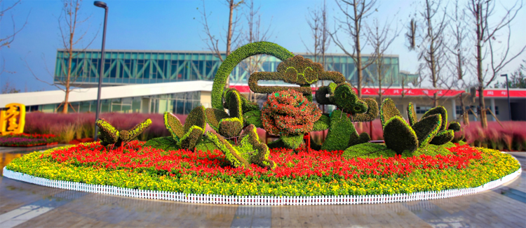 立體花壇,五色草造型,綠雕